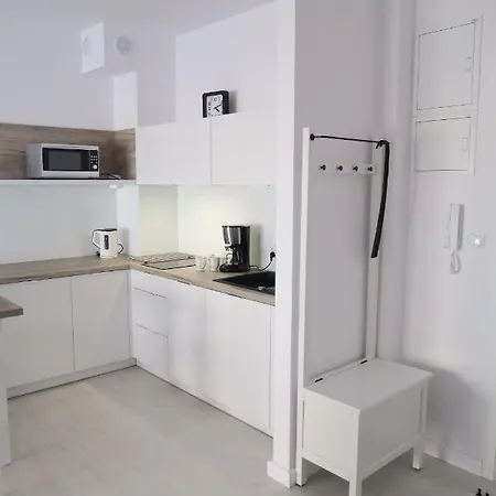 아파트 Bialy Apartament 코워브제크