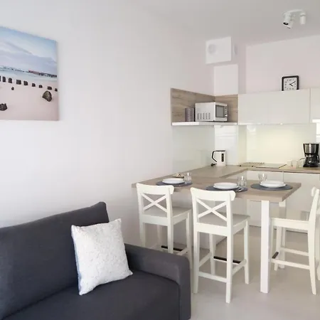 Bialy Apartament 아파트 *